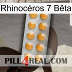 Rhinocéros 7 Bêta levitra1